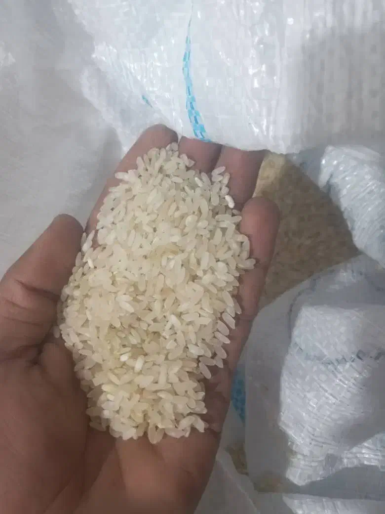 فروش برنج کامفیروزی به شرط پخت ‌|خوردنی و آشامیدنی|شیراز, باهنر|دیوار