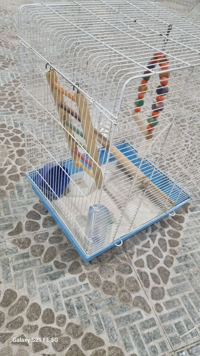فروش قفس بزرگ|لوازم جانبی حیوانات|برازجان, |دیوار