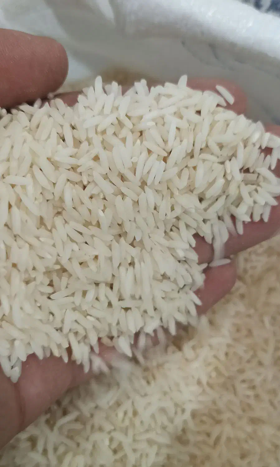 فروشگاه خرمی|خوردنی و آشامیدنی|لنگرود, |دیوار