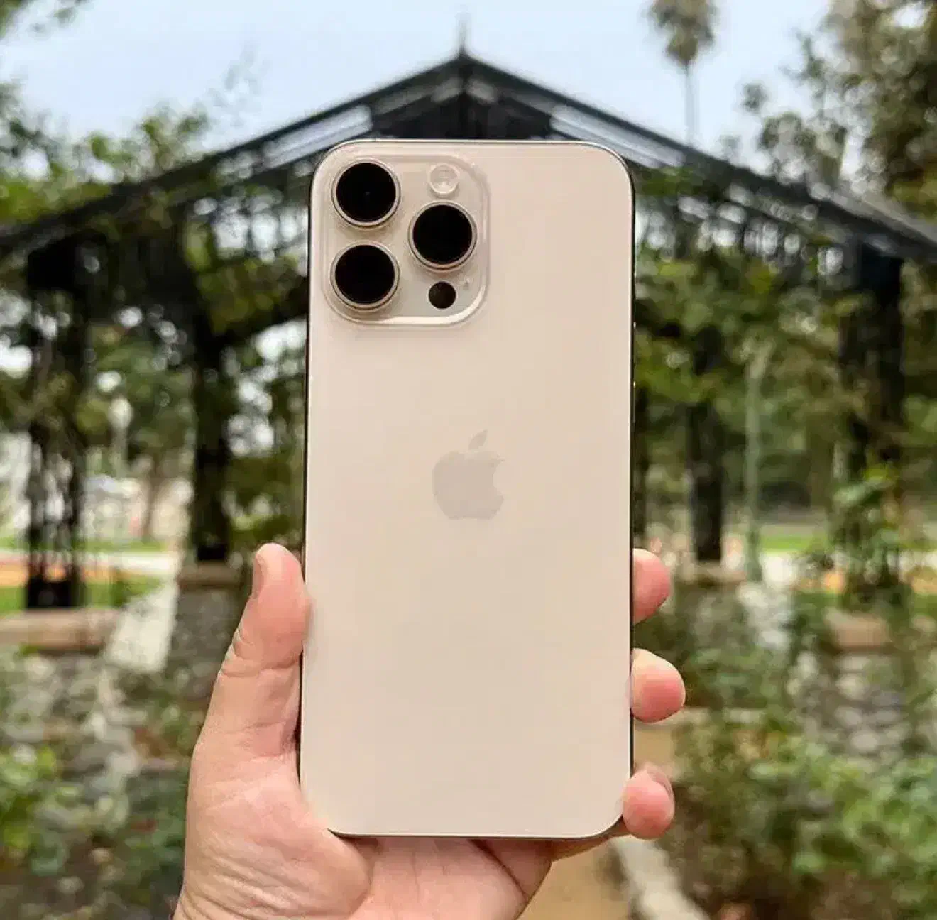 گوشی آیفون ۱۶ پرومکس|موبایل|اردبیل, |دیوار