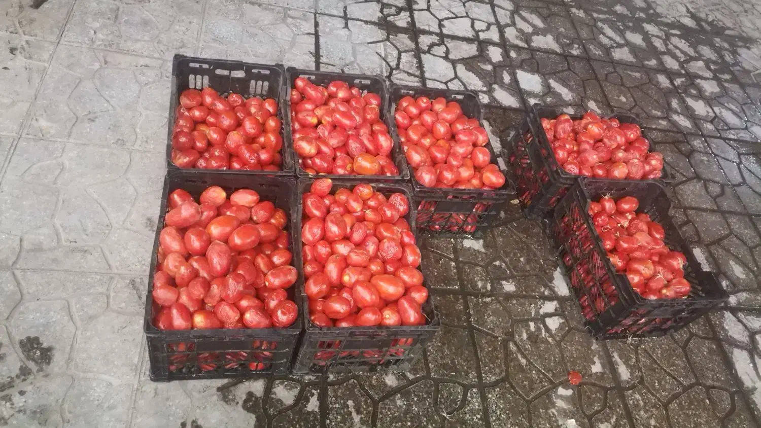 سلام آب آنارگیری|خوردنی و آشامیدنی|حمیدیا, |دیوار