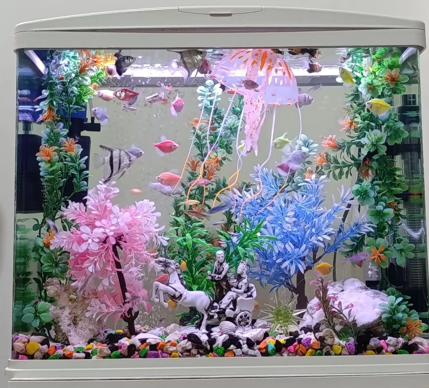 آکواریوم خوشگل شرکتی با تمام وسایل در حد نو|ماهی|قوچان, |دیوار