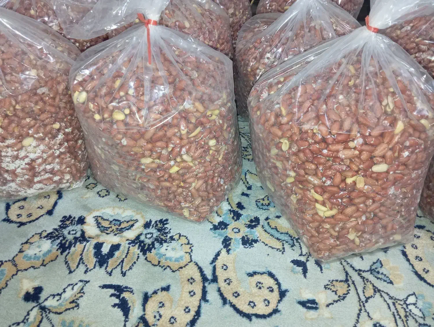 بادام زمینی اعلا و تازه مغان|عمدهفروشی|فردیس, شهرک شهید حسینی|دیوار