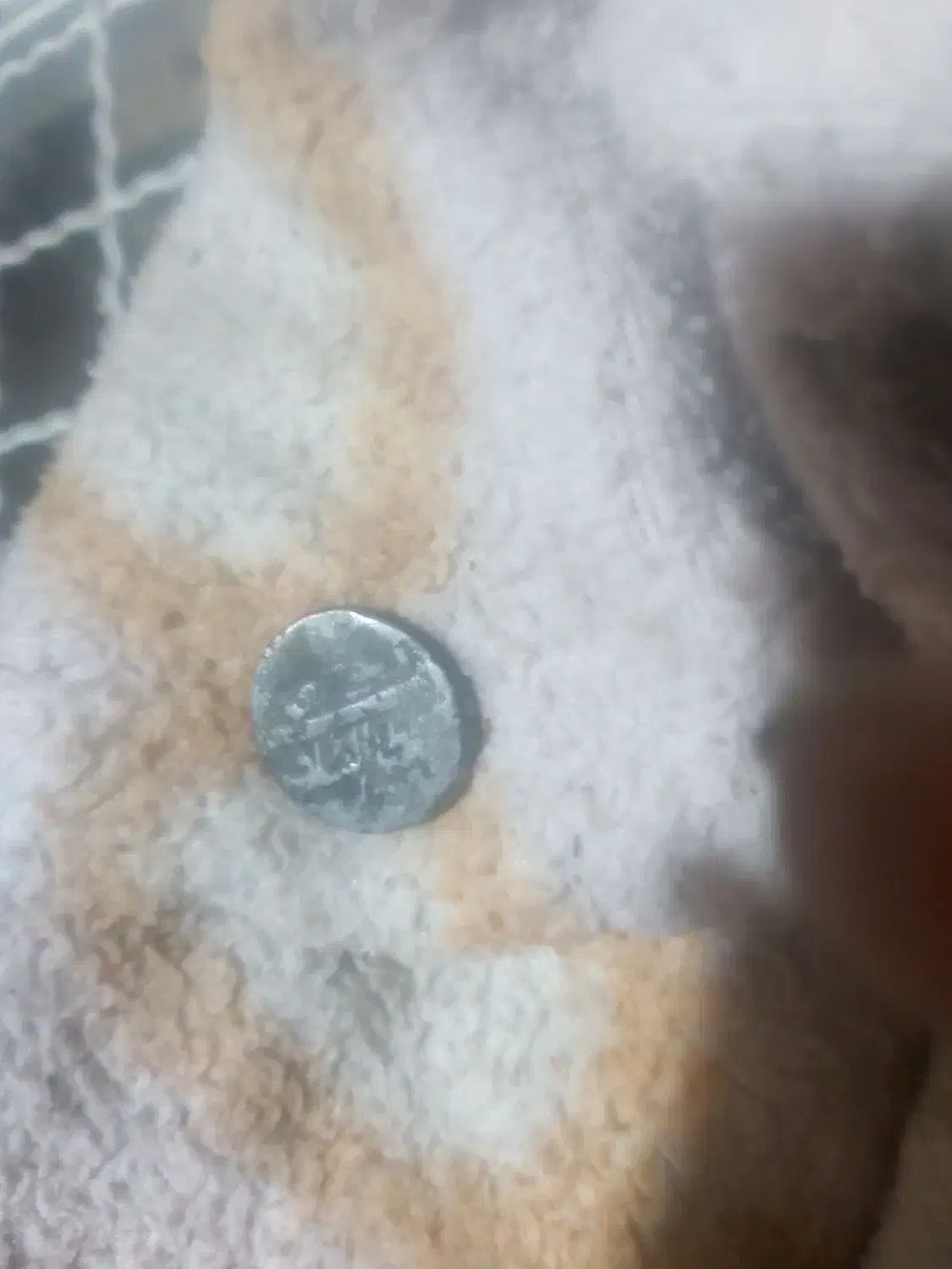 سکه|کلکسیون سکه، تمبر، اسکناس|جهرم, |دیوار