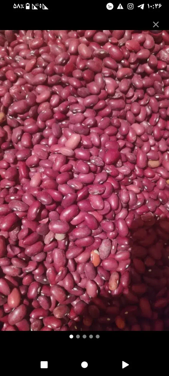 لوبیا قرمز|خوردنی و آشامیدنی|جونقان, |دیوار