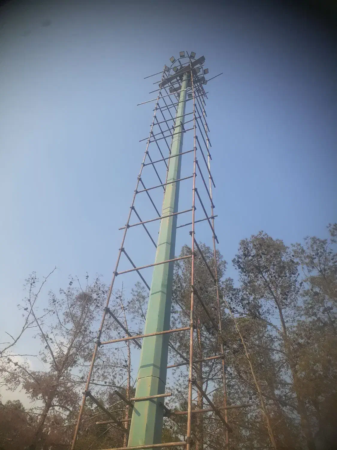 خدمات داربست فلزی.در تمامی نقاط.|خدمات پیشه و مهارت|تهران, خزانه|دیوار