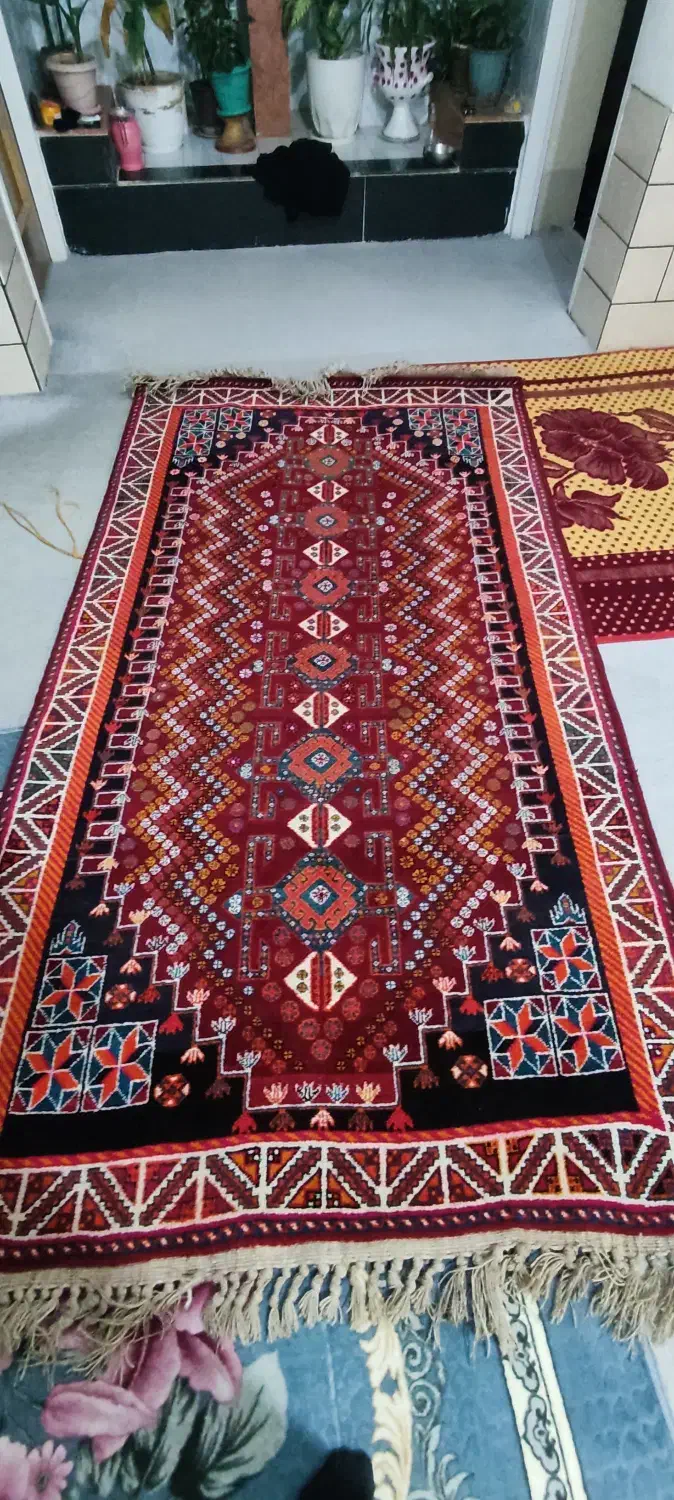 قالی ترکی نو  بدون پا خورده گی|فرش|شیراز, قلات|دیوار