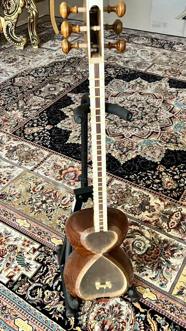 تار خوش صدا|سازهای سنتی|کاشمر, |دیوار
