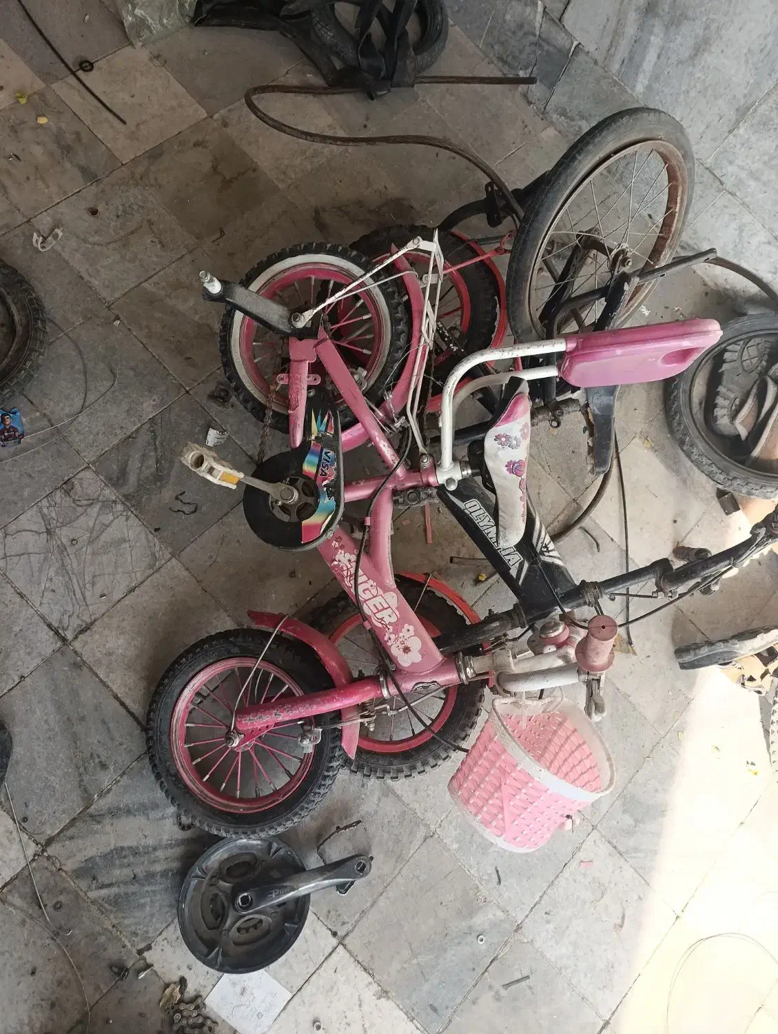 دوچرخه 15عدد|دوچرخه، اسکیت، اسکوتر|کبودرآهنگ, |دیوار