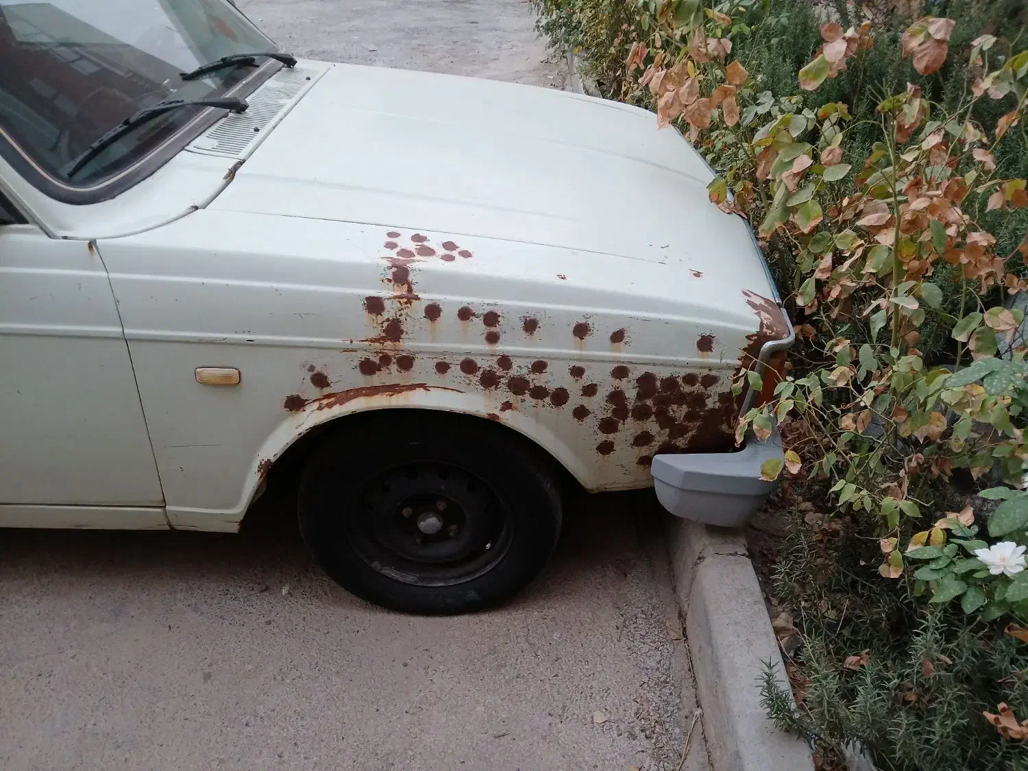 وانت پیکان|خودرو سواری و وانت|هشتگرد, شهرک گلها|دیوار