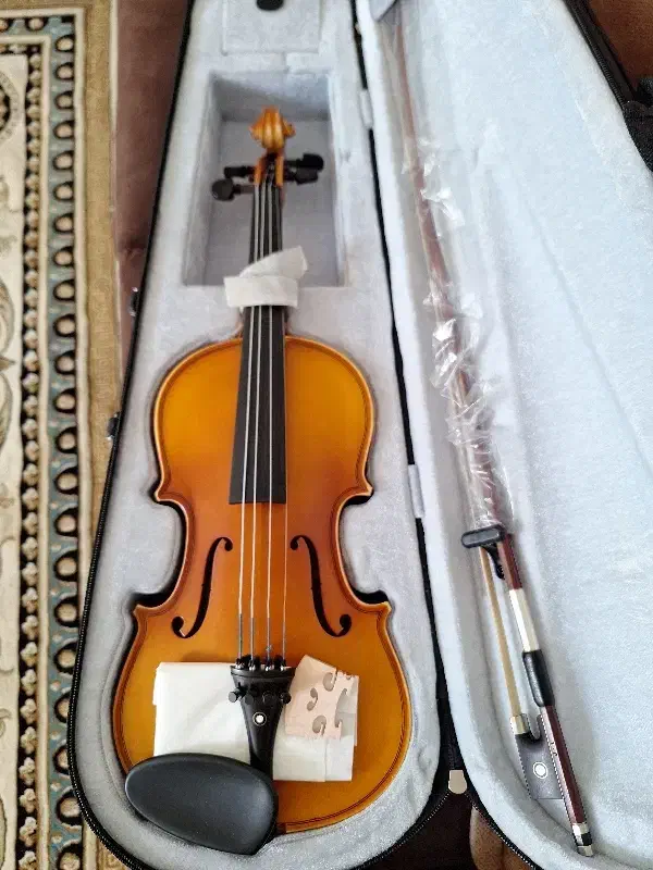 ویولن تی اف ۱۴۲ سایز ۲/۴|ویولن|شیراز, باباکوهی|دیوار