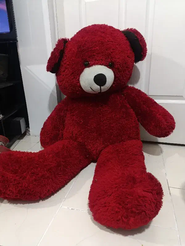 شاسخین ولنتاین|کلکسیون و سرگرمی|کرج, کرج نو|دیوار