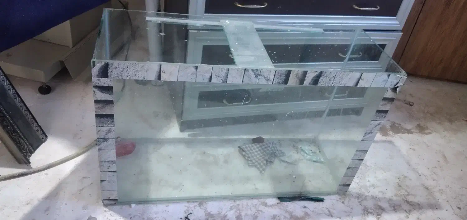 آکواریوم|لوازم جانبی حیوانات|نوشین شهر, |دیوار