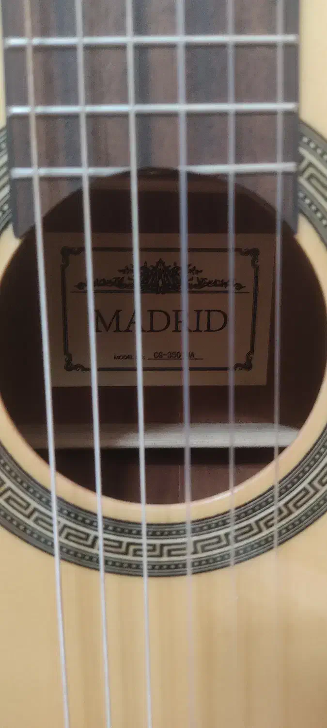 فروش گیتار|گیتار، بیس، امپلیفایر|تهران, آذری|دیوار