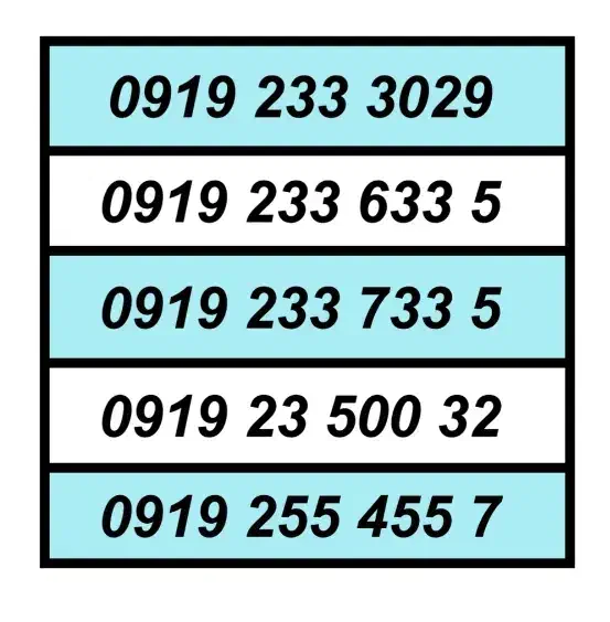 0919.26.8008.5|سیمکارت|کرج, کرج نو|دیوار