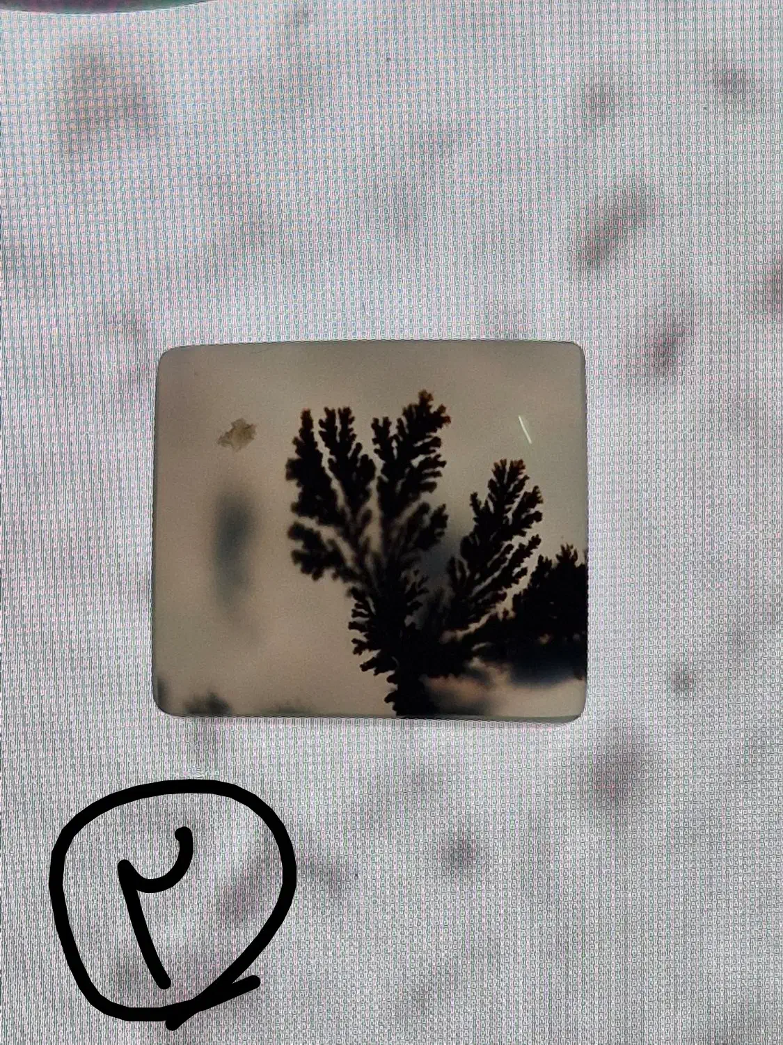 انواع نگین های نچرال و با کیفیت|جواهرات|قم, نیروگاه|دیوار