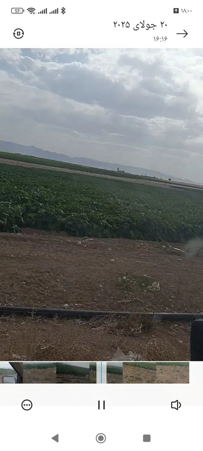 اجاره زمین کشاورزی|اجارهٔ دفتر صنعتی، کشاورزی، تجاری|آباده, |دیوار