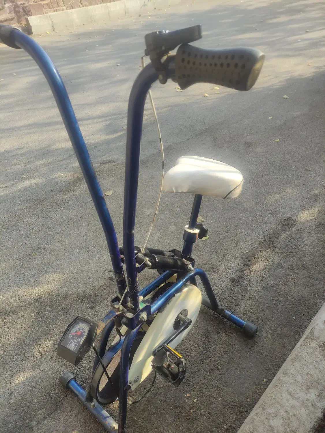 دوچرخه ثابت|تجهیزات ورزشی|هشتگرد, کوشک زر|دیوار