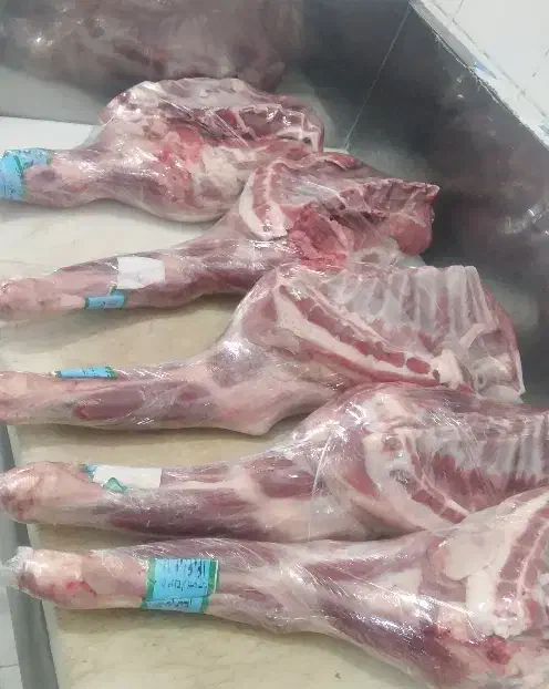 گوشت گوسفندی گوساله شتر|خوردنی و آشامیدنی|شیراز, مسلم|دیوار