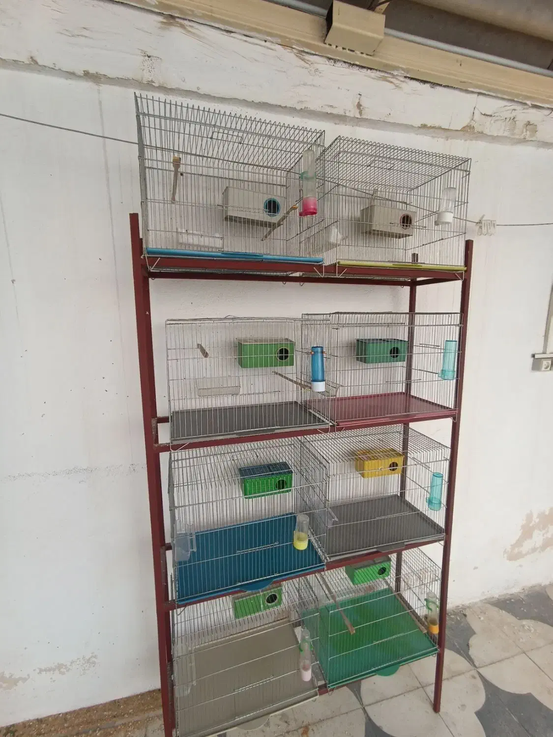 فروش قفس و طبقه|لوازم جانبی حیوانات|بوشهر, |دیوار