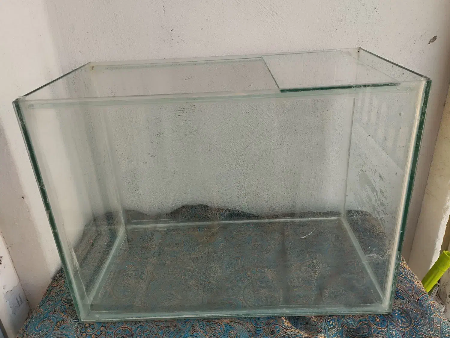 آکواریوم بزرگ و سالم|ماهی|پردیس, فاز ۱۱|دیوار