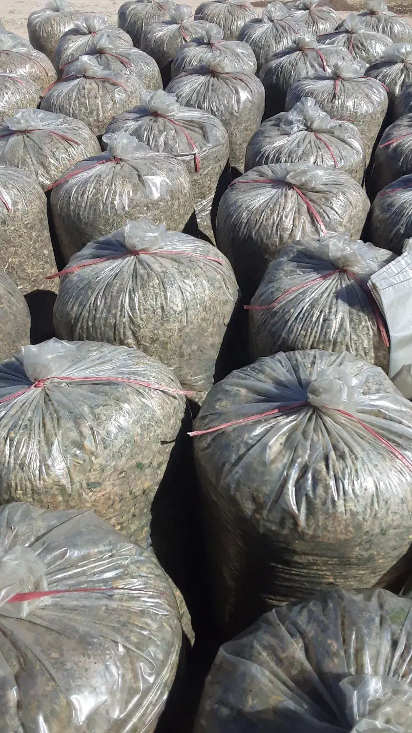 یونجه درجه یک و سیلو|عمدهفروشی|دشتابی, |دیوار