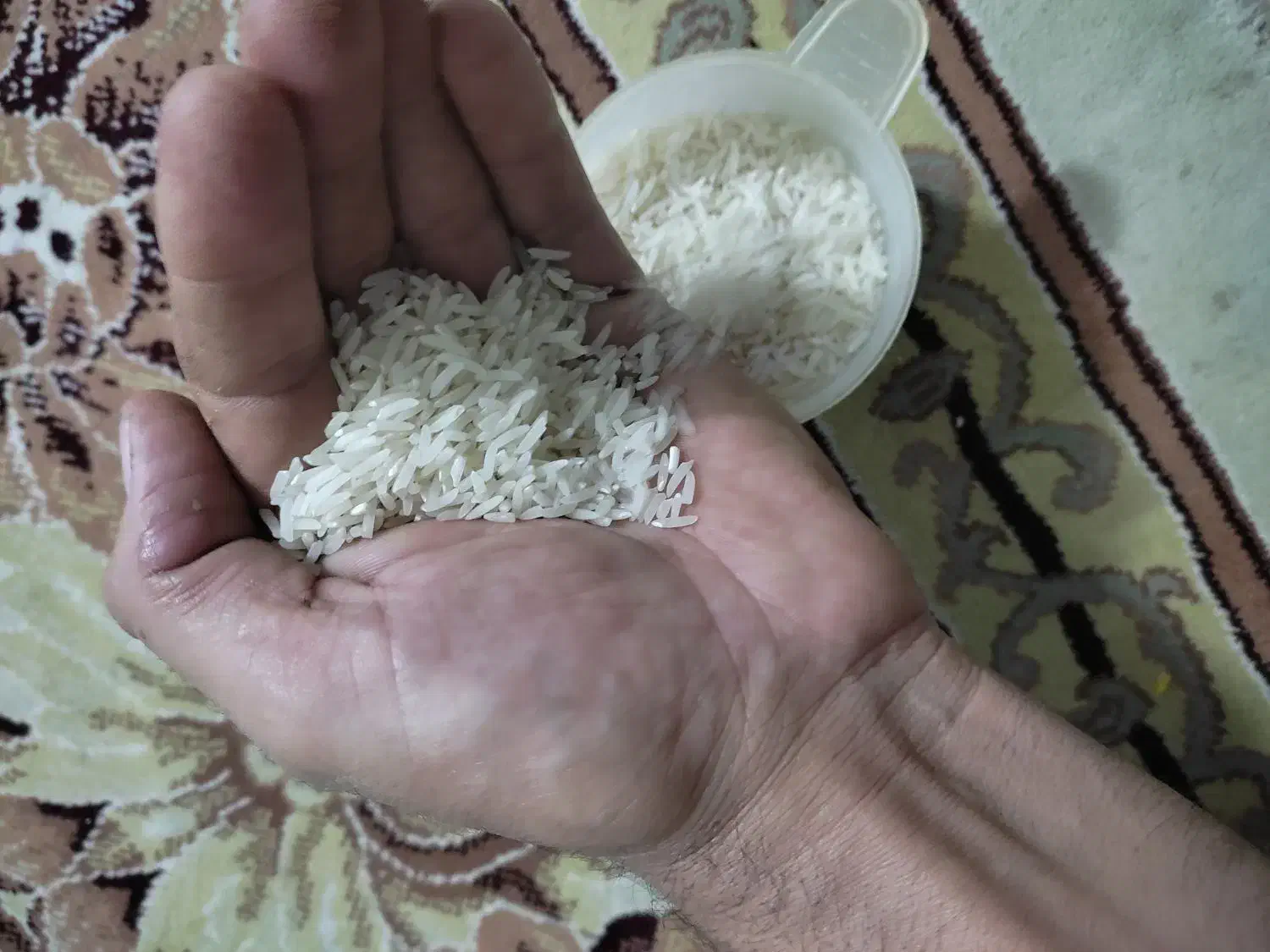 برنج فجرسوزنی|خوردنی و آشامیدنی|رامیان, |دیوار