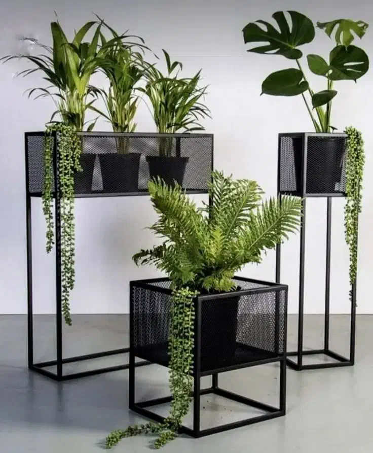 استند گل|گل و گیاه طبیعی|پیر بکران, |دیوار