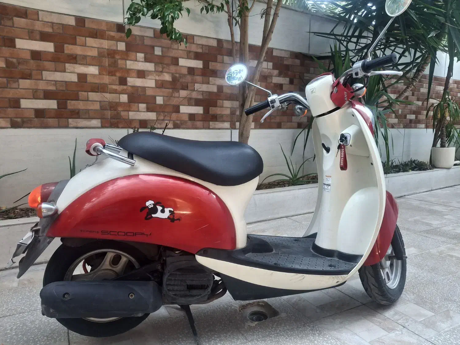 هوندا اسکوپی|موتورسیکلت|جم, |دیوار