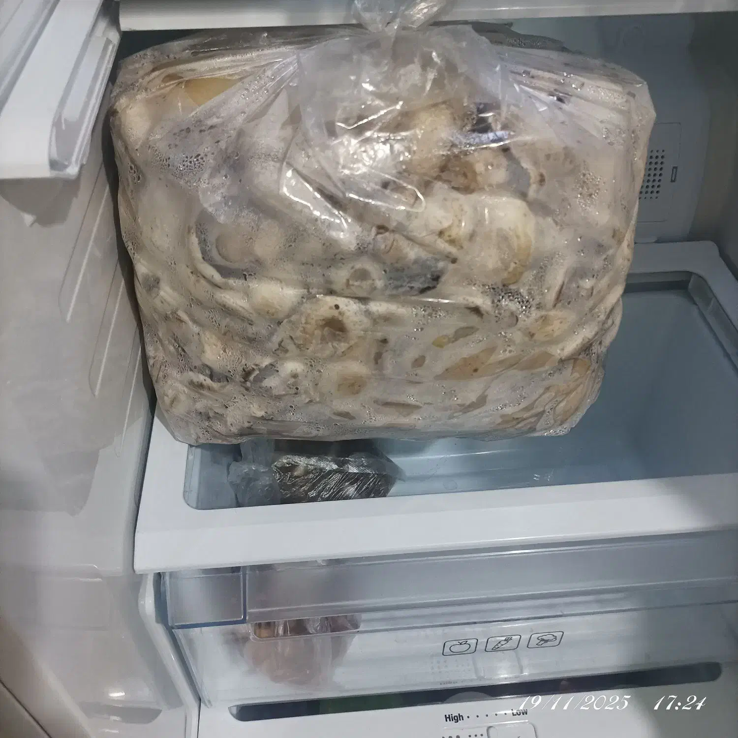 قارچ کیلو 100تومان|خوردنی و آشامیدنی|سبزوار, شرق کال جنوبی (شمس آبادی)|دیوار