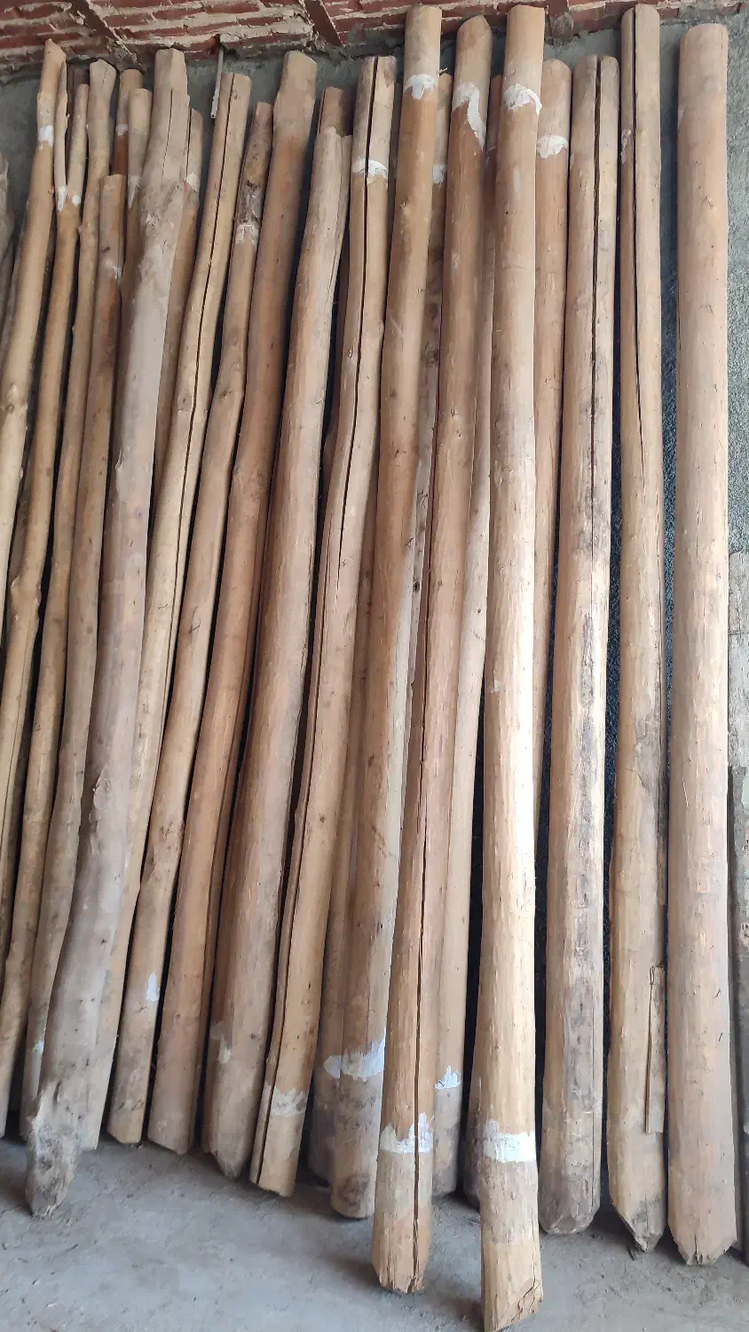 خرید و فروش چوب خشک|مصالح و تجهیزات ساختمان|مریوان, |دیوار