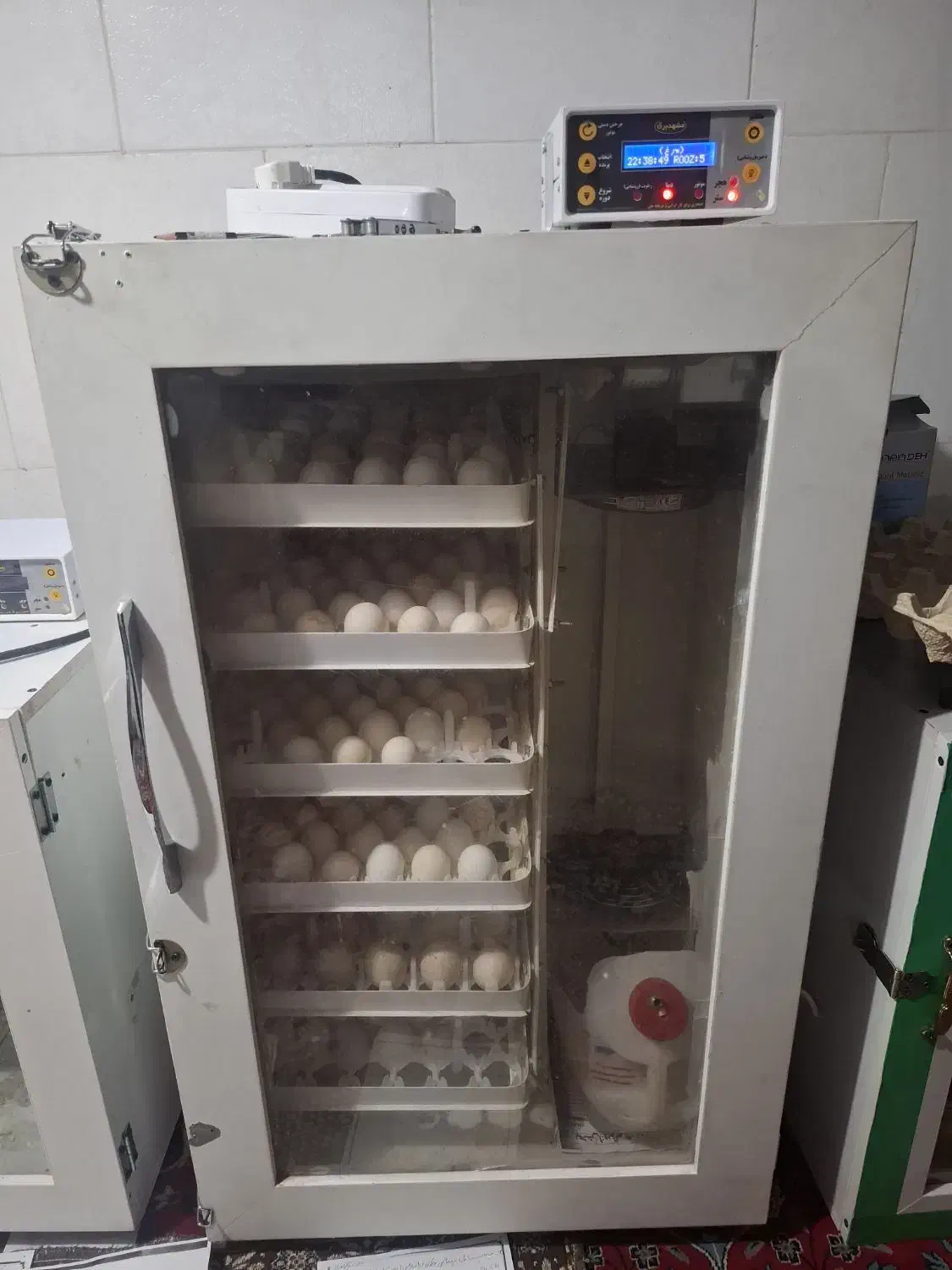 دستگاه جوجه کشی کویر( مشهد برق )|لوازم جانبی حیوانات|یزد, |دیوار