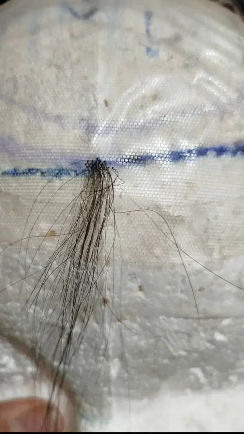 بافنده پروتز مو (دورکاری)|استخدام درمانی، زیبایی، بهداشتی|اصفهان, سعادتآباد|دیوار