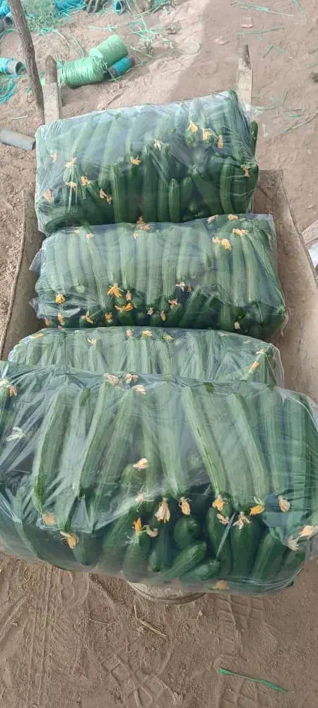 قبول انواع سفارش میوه وتره بار|خدمات پذیرایی، مراسم|کرمان, |دیوار