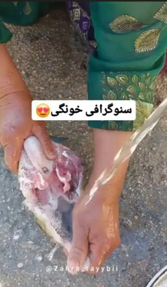 تمیز‌کردن‌کله‌‌پاچه‌گوسفند‌وپاک‌کردن‌سیلاب‌شیردون|خوردنی و آشامیدنی|مشهد, ایثارگران|دیوار