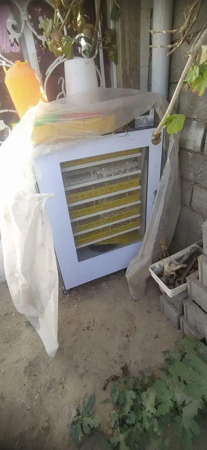 دستگاه جوجه کشی|لوازم جانبی حیوانات|تایباد, |دیوار