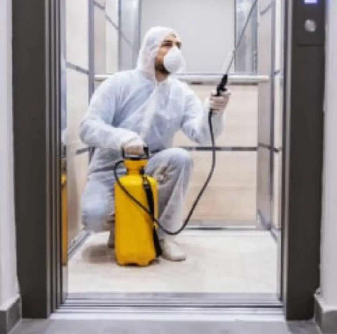 سمپاشی حشرات خانگی دفع سوسک ساس موریانه سم پاشی|خدمات نظافت|اهواز, کیانشهر|دیوار