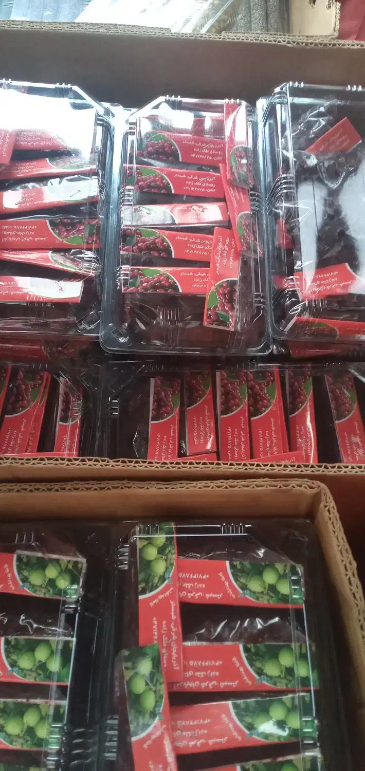 کاردرمنزل بسته بندی البالو الوچه|استخدام بازاریابی و فروش|قدس, شهرقدس|دیوار