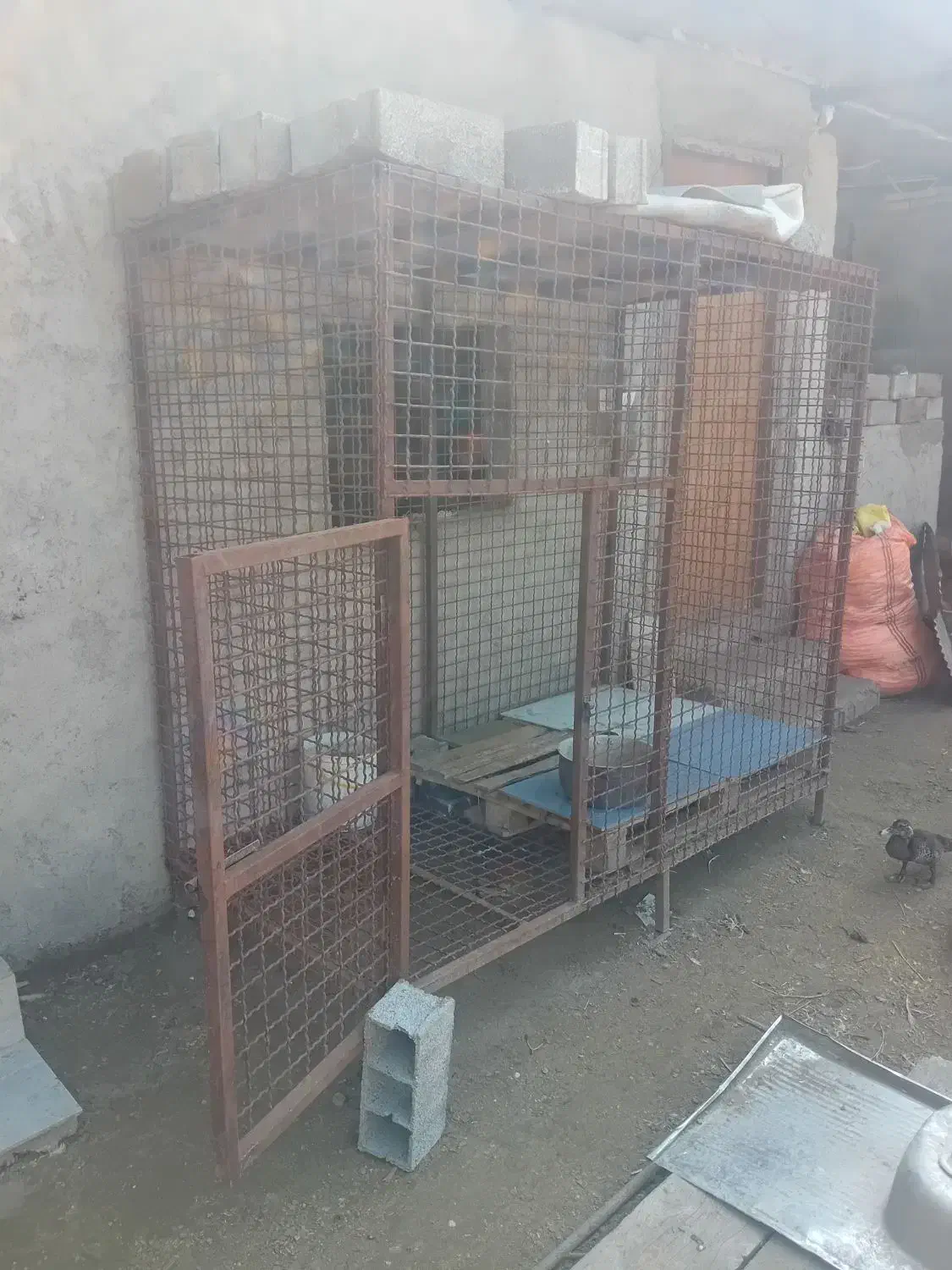 قفس سگ..|لوازم جانبی حیوانات|بابل, |دیوار