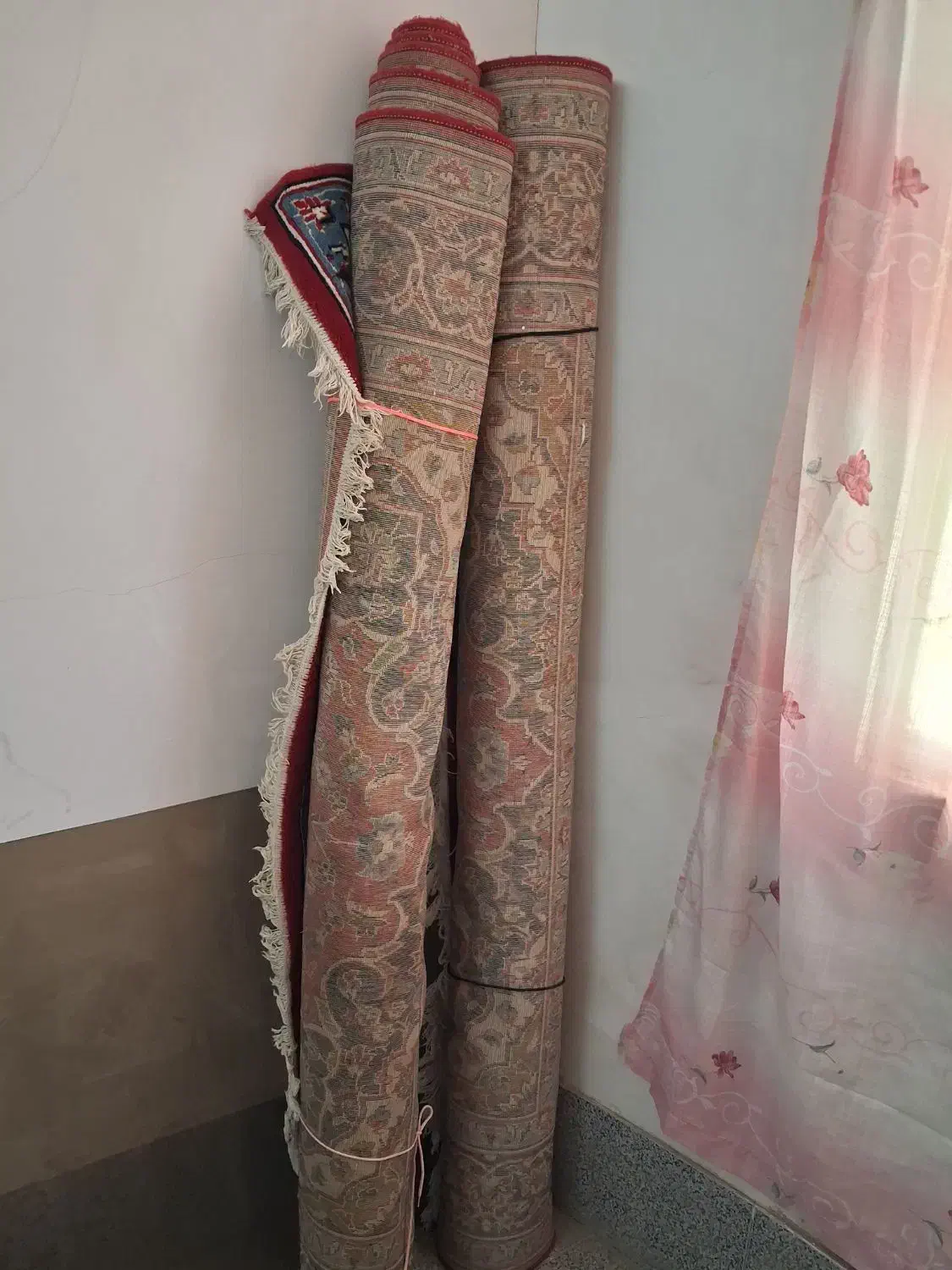 ۲ تخته قالی ۶ متری|فرش|تربت جام, شهرک آزادگان|دیوار