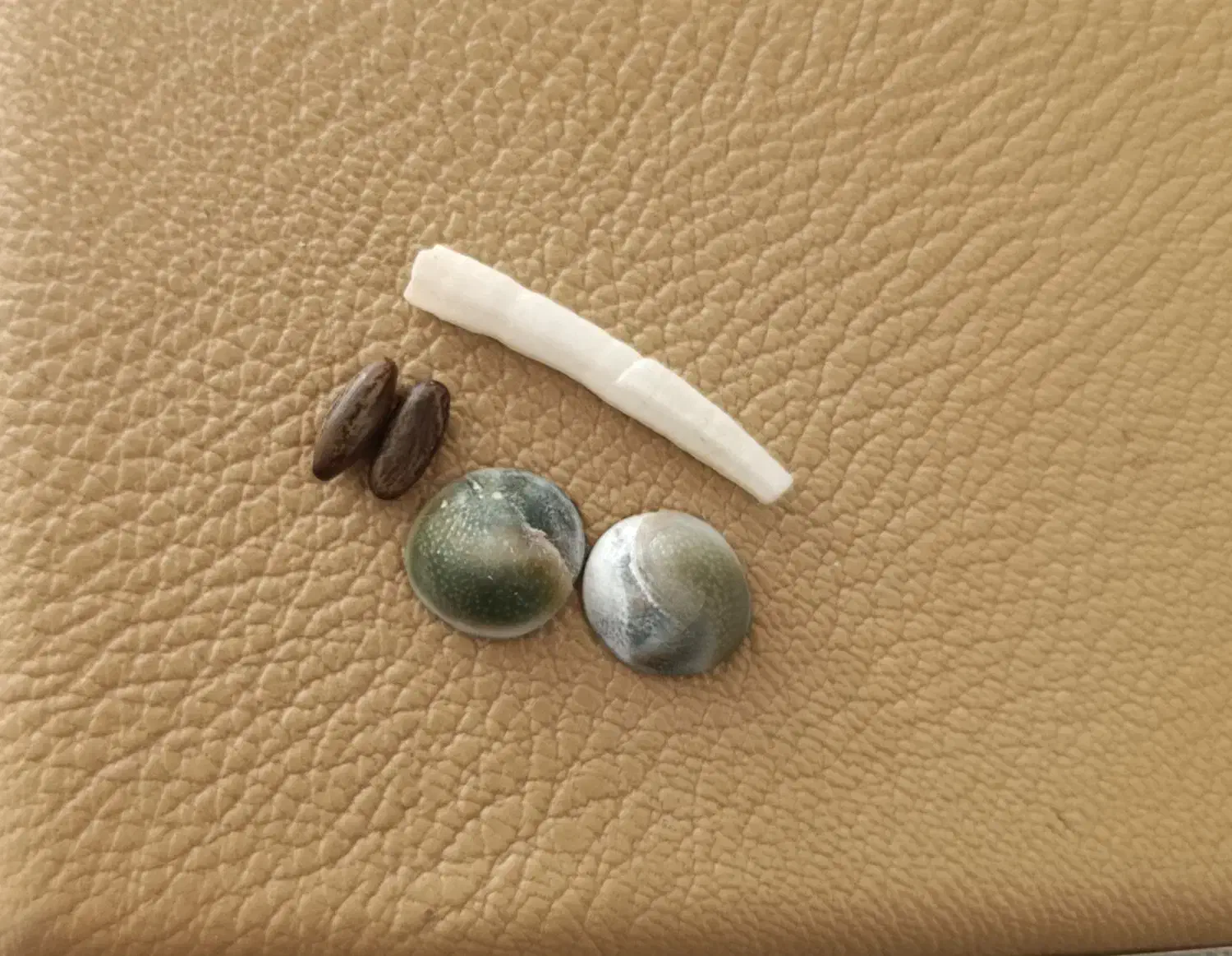 رزق و روزی|بدلیجات|یاسوج, |دیوار