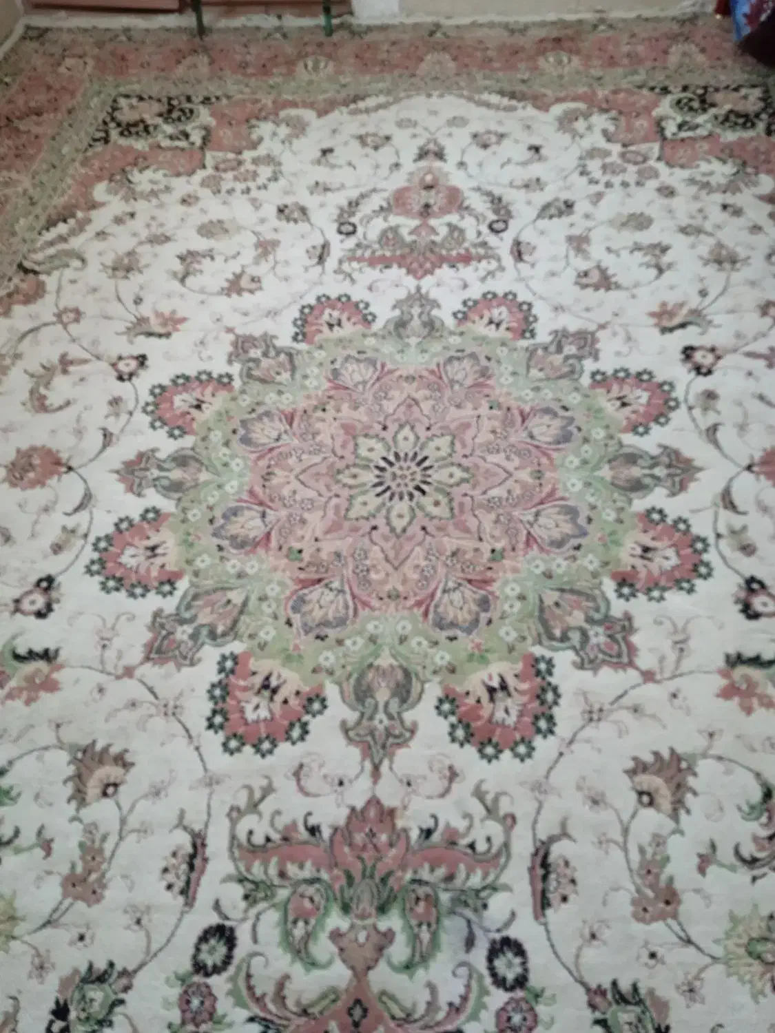 قالی 12متری شیک|فرش|زاهدان, |دیوار