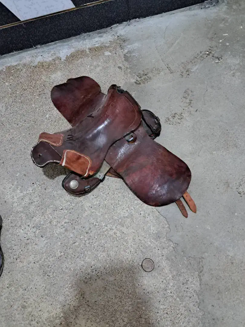 زین اسب|اسب و تجهیزات اسب‌سواری|دزفول, |دیوار