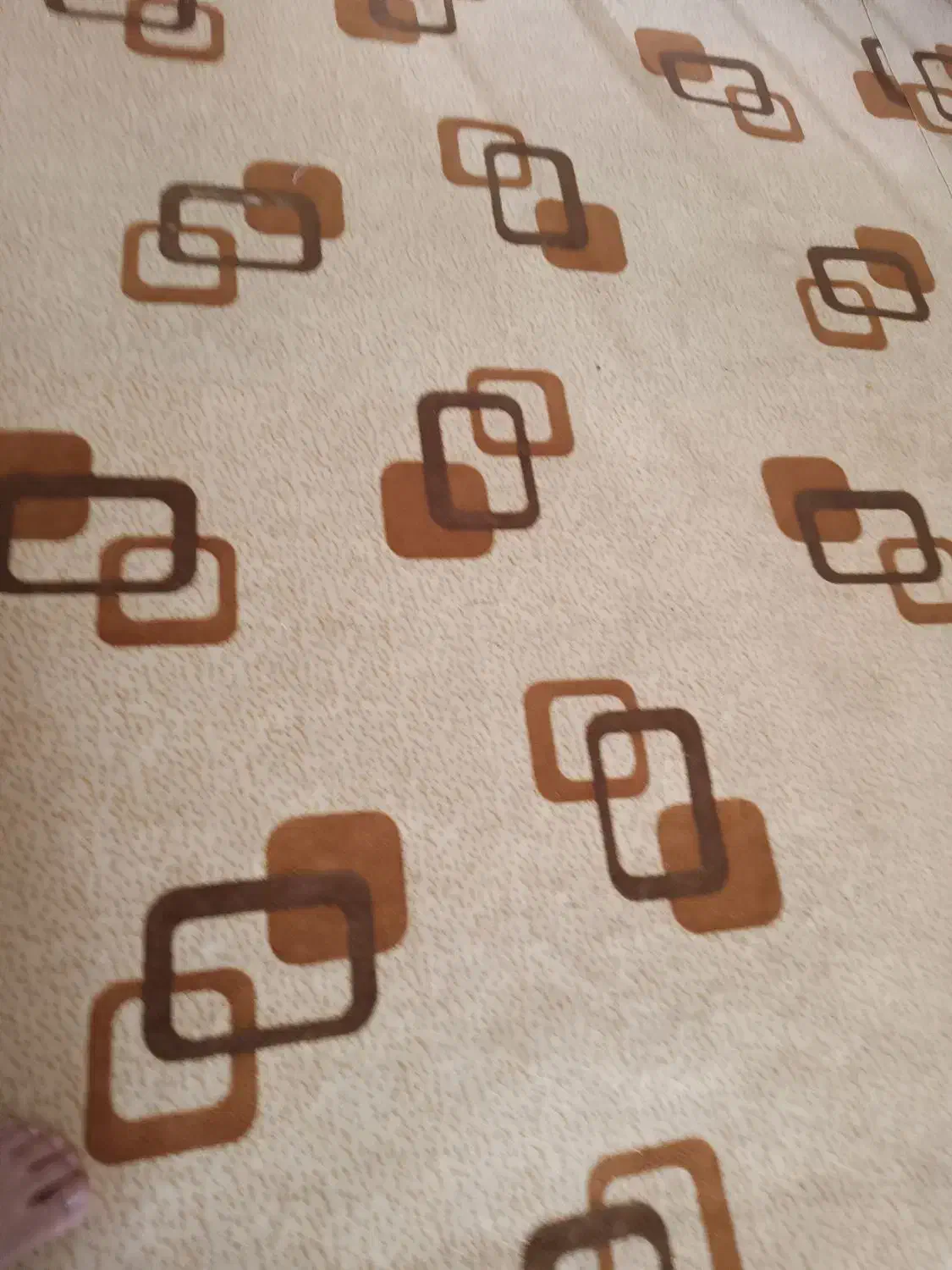 موکت کرمی رنگ سالم|موکت|اردبیل, |دیوار