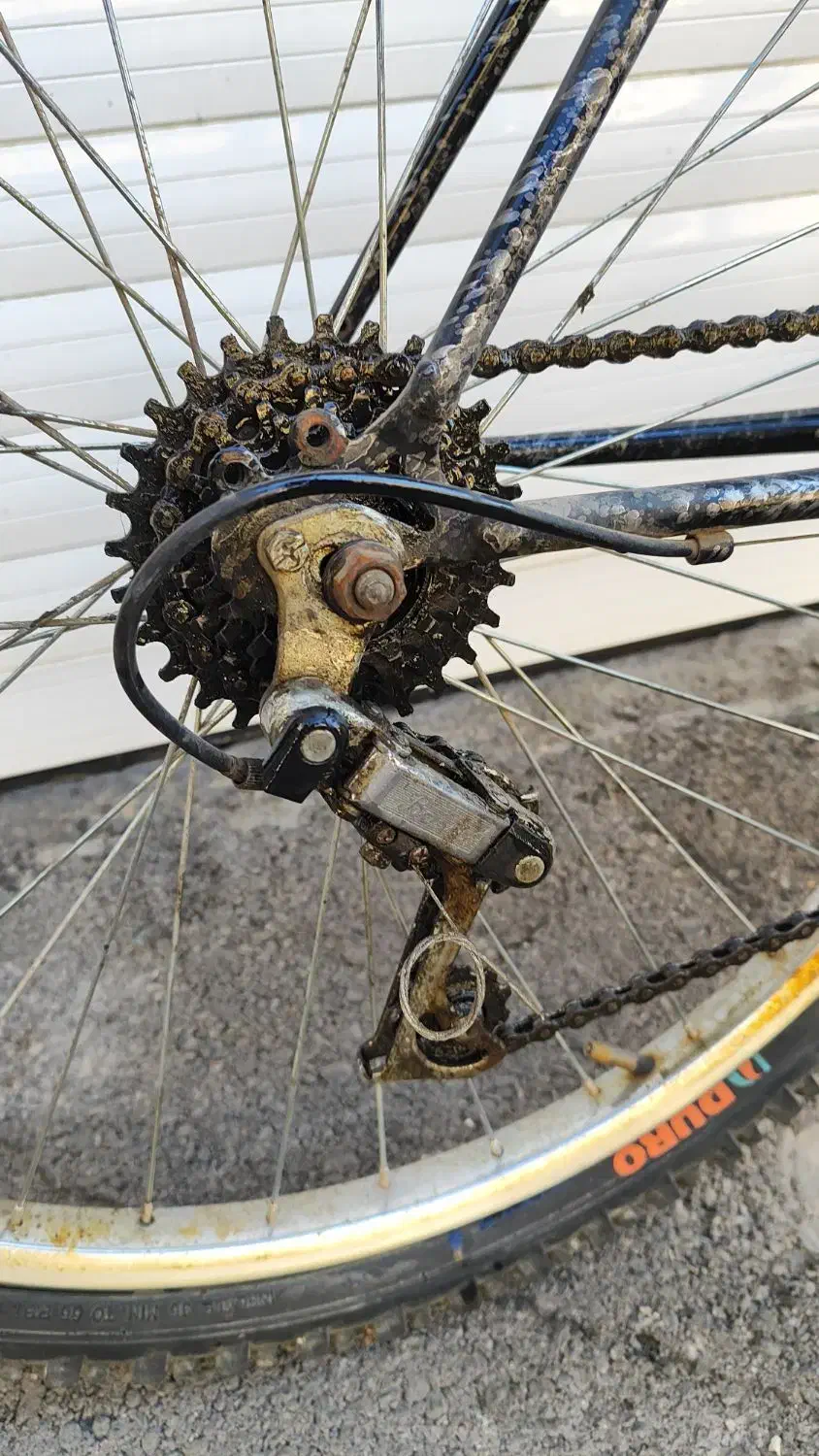 دوچرخه 26|دوچرخه، اسکیت، اسکوتر|شیراز, شریف‌آباد|دیوار