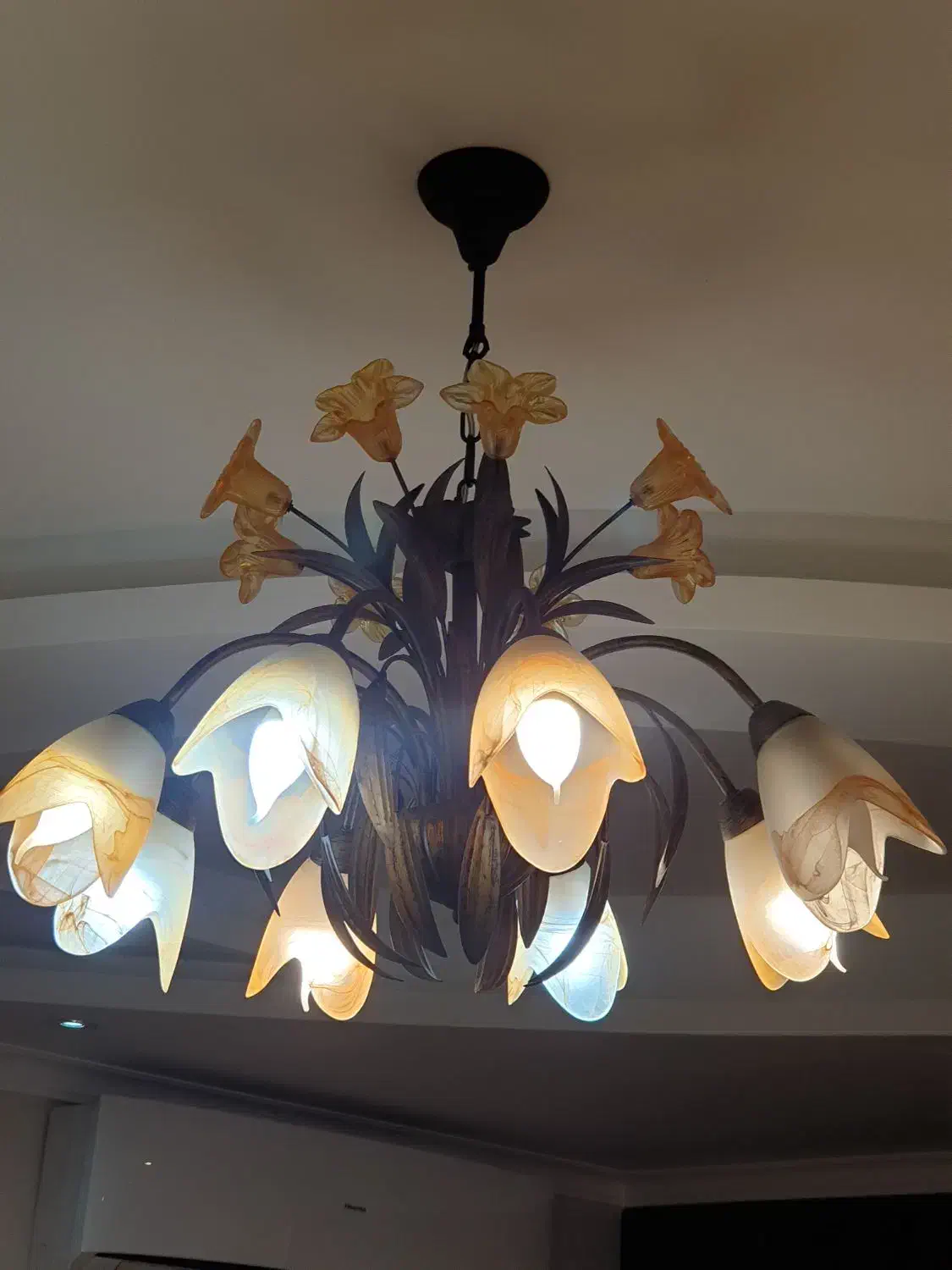 لوستر ۸ شاخه و ۳ شاخه|لوستر و چراغ آویز|رشت, کاکتوس|دیوار