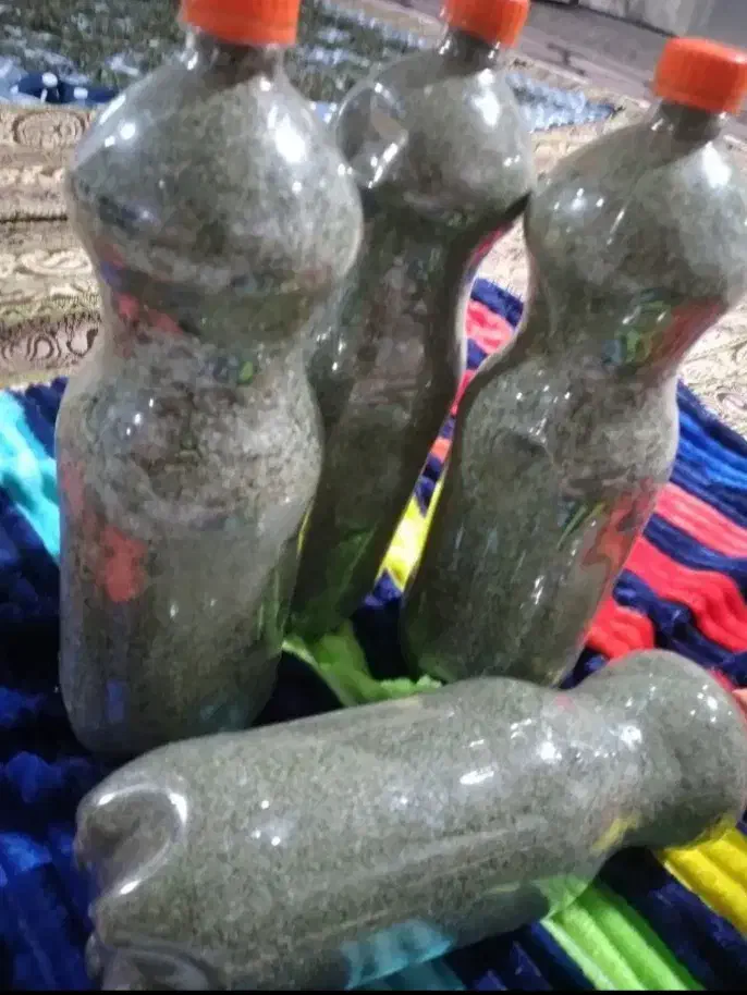 نعنا خشک محلی تازه  خوشرنگ وخوش عطر و بو|خوردنی و آشامیدنی|نوده خاندوز, |دیوار