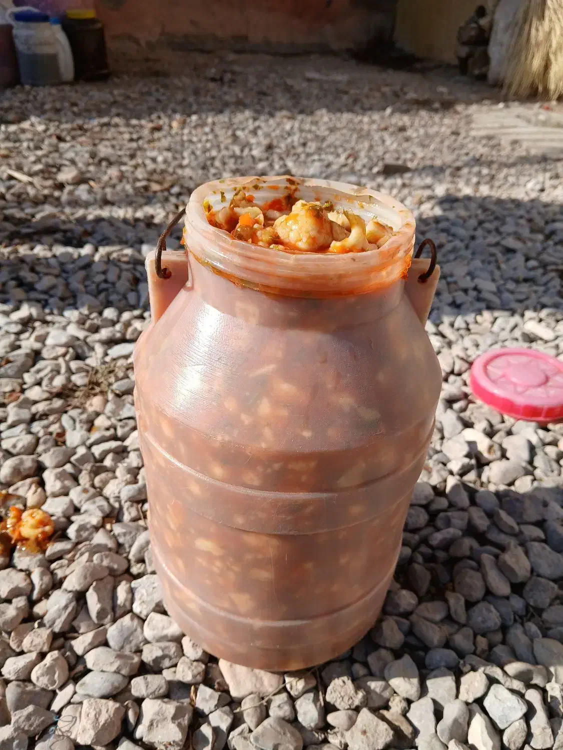 حراج سالاد زمستانی|حراج|قوچان, |دیوار