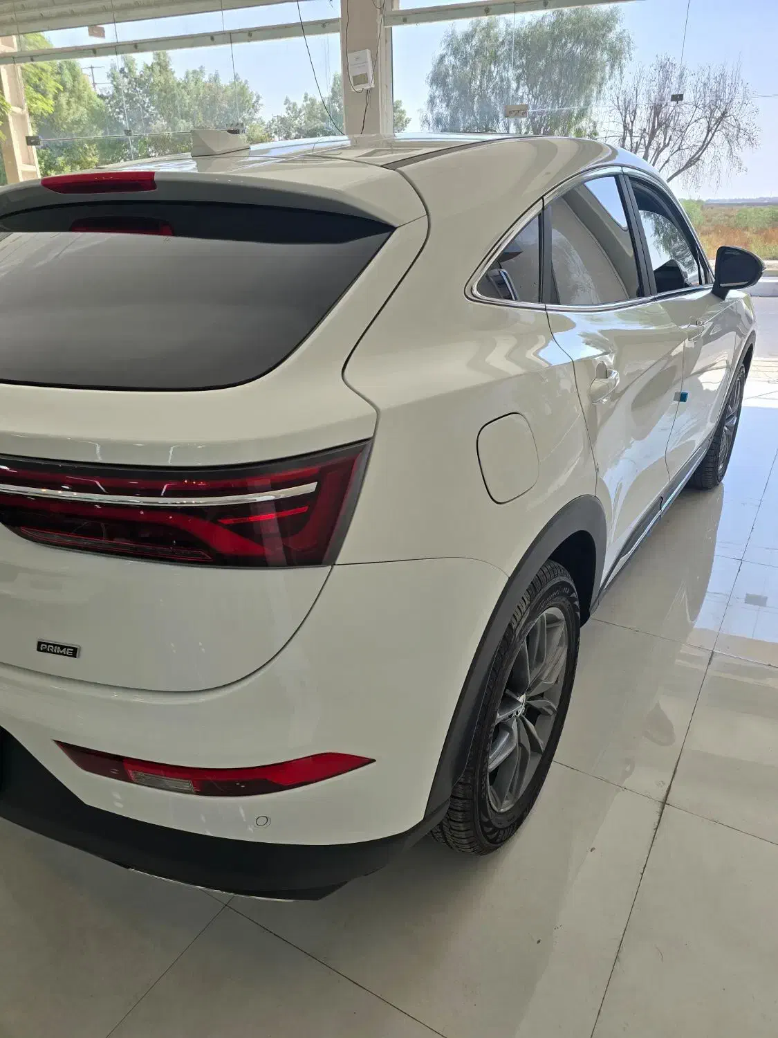 دیگنیتی پرایم ۴۰۳ سفید در حد خشک ۵ تا کار|خودرو سواری و وانت|بوشهر, |دیوار