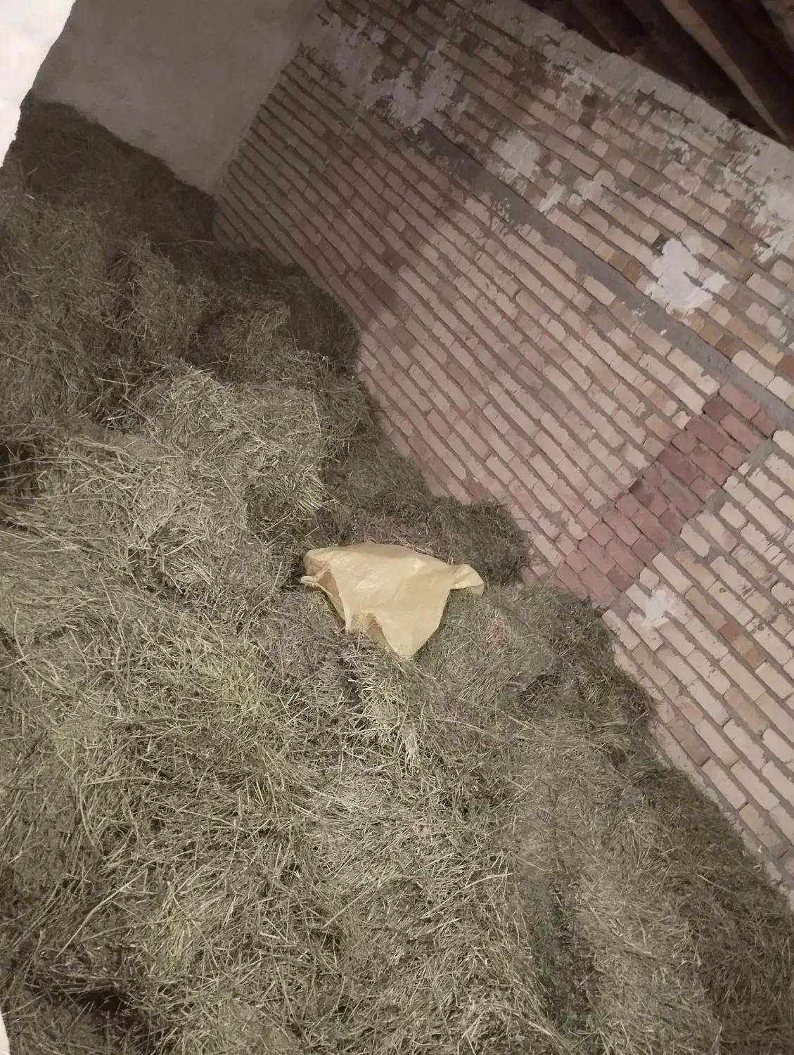 یونجه چین ۳|لوازم جانبی حیوانات|دورود, |دیوار